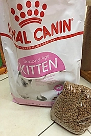 Royal Canin Kitten Açık Kedi Maması 1 Kg.