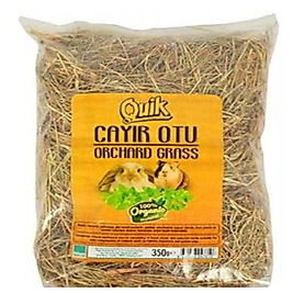 ÇAYIR OTU KEMİRGEN