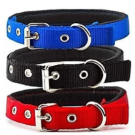 Pet Style Ayarli Köpek Boyun Tasma