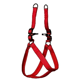 Lion Göğüs Tasma 2.5 Cm