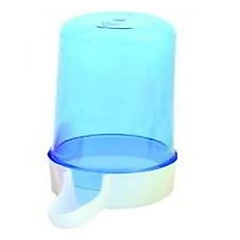 Kardelen Kanarya Suluk Muz