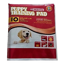 Hushpet 60X60 Çiş Pedi 10 Lu