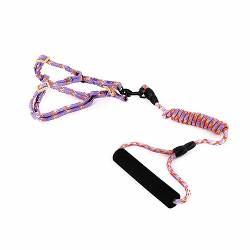 Bobo Gökkuşaği Takım Bel Tasma 12Mm*120 Cm + 2.5 Cm 50-70 Cm